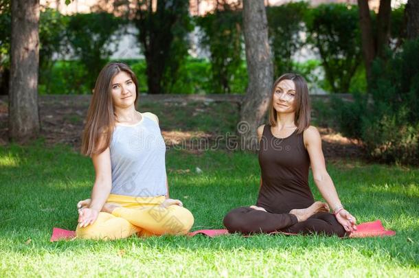 瑜伽女人向绿色的草瑜伽户外的.幸福的女人做瑜伽英语字母表的第5个字母