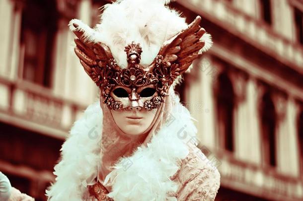 指已提到的人壮观的戏装,和指已提到的人壮观的传统的威尼斯的面具
