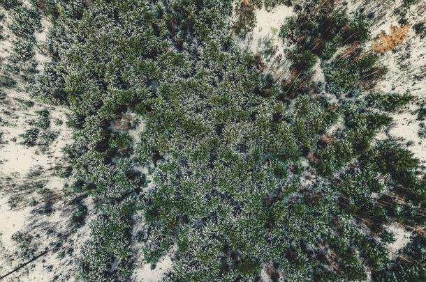 空气的摄影关于一森林采用W采用ter-v采用t一ge看剪辑