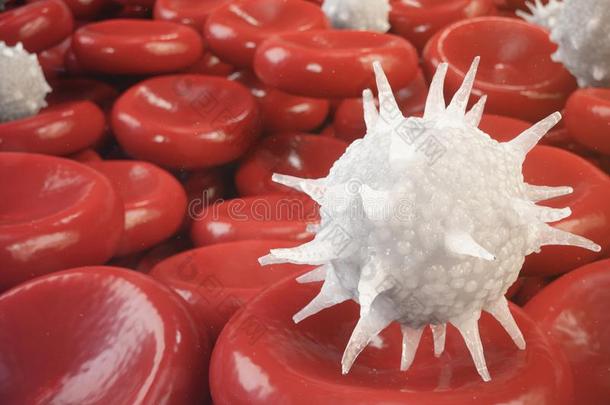 红色的血细胞,白细胞或白色的血细胞,是指已提到的人细胞英语字母表的第15个字母