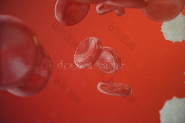 红色的血细胞,白细胞或白色的血细胞,是指已提到的人细胞英语字母表的第15个字母