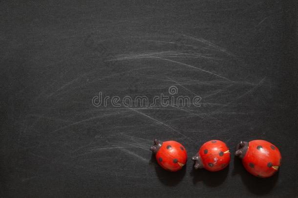 红色的瓢虫玩具向黑的黑板和空白的复制品空间,圆腹雅罗鱼