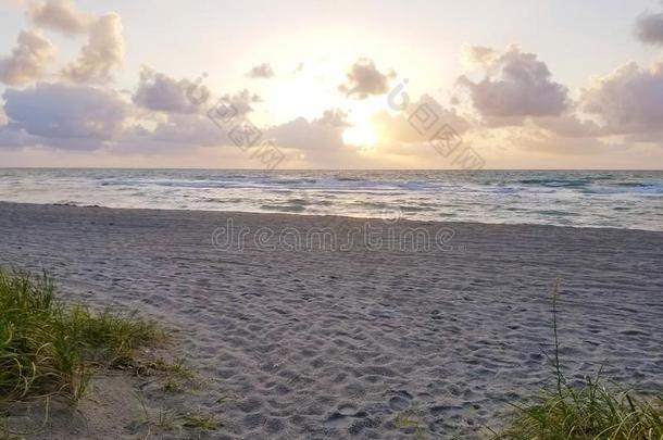 风景关于沙丘,海滩和洋在日出