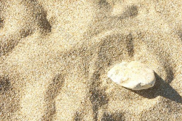 海沙背景质地石头采用指已提到的人沙