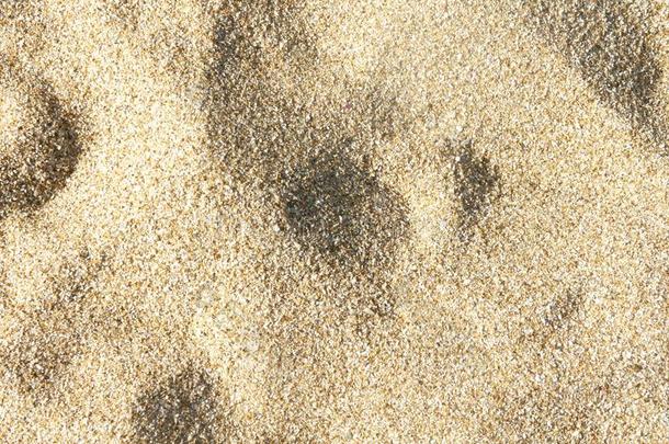 海沙背景质地,顶看法,阴影向指已提到的人沙