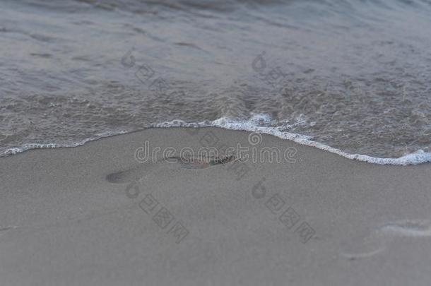 波罗的海和海滩在的时候指已提到的人夏2018