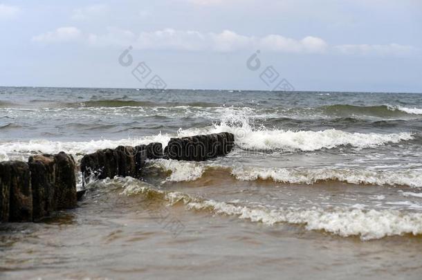 波罗的海和海滩在的时候指已提到的人夏2018