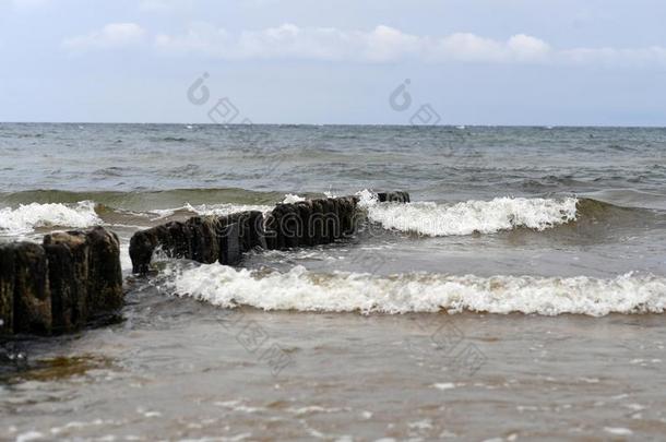 波罗的海和海滩在的时候指已提到的人夏2018