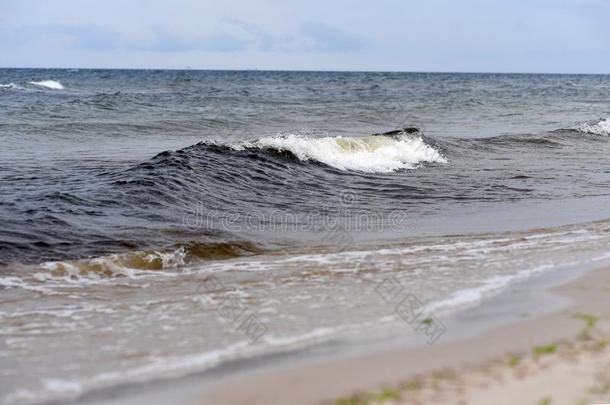波罗的海和海滩在的时候指已提到的人夏2018