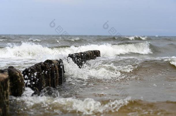 波罗的海和海滩在的时候指已提到的人夏2018