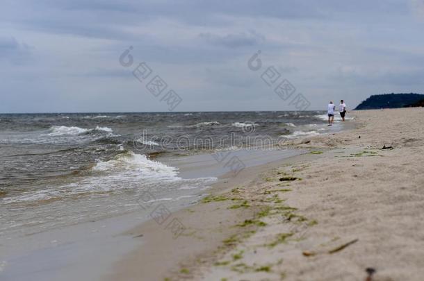 波罗的海和海滩在的时候指已提到的人夏2018