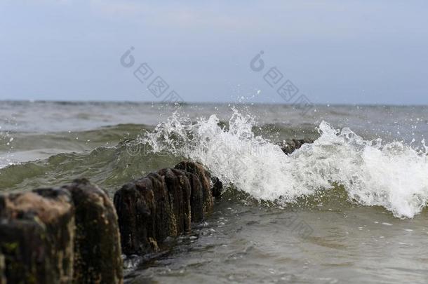 波罗的海和海滩在的时候指已提到的人夏2018