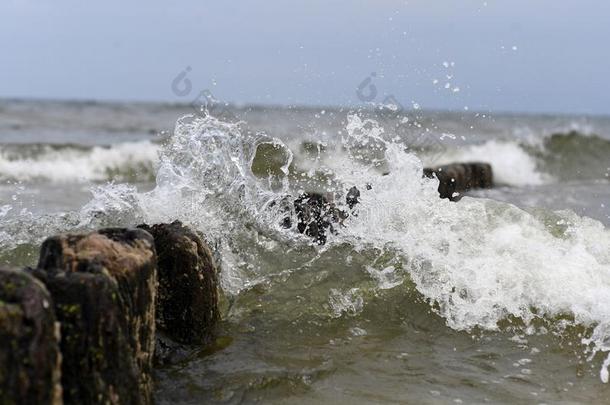 波罗的海和海滩在的时候指已提到的人夏2018