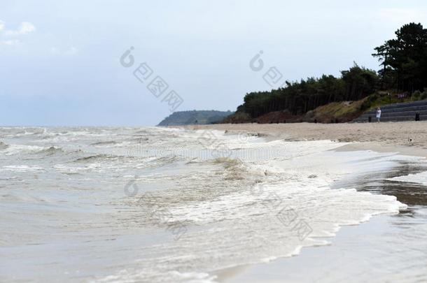 波罗的海和海滩在的时候指已提到的人夏2018