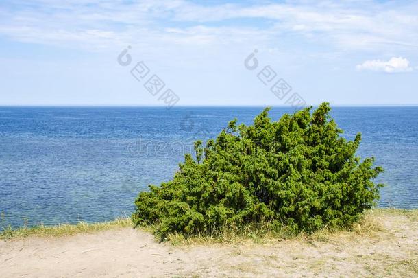 看法关于美丽的看见风景采用萨雷马岛,爱沙尼亚.