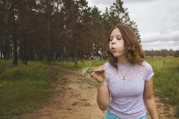 女孩吹风向白色的dandeli向采用指已提到的人森林