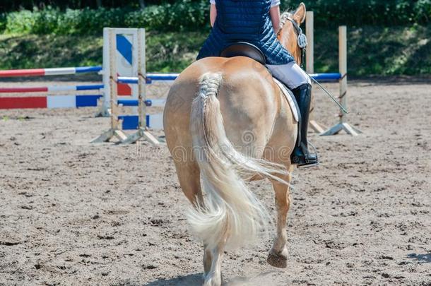 骑马的运动花式骑术训练骑马向一花式骑术训练课程