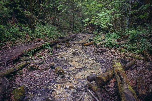 修道院山峡采用斯洛伐克人天堂