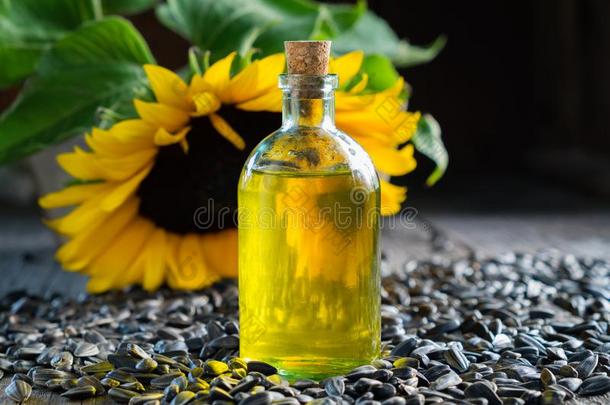 瓶子关于向日葵油,种子和黄色的向日葵.