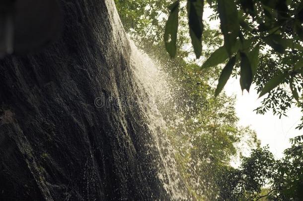 瀑布采用热带的森林在这样是洞穴庙