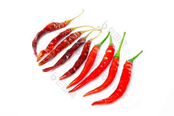 干燥的红辣椒胡椒,红色的红辣椒胡椒隔离的向白色的背景