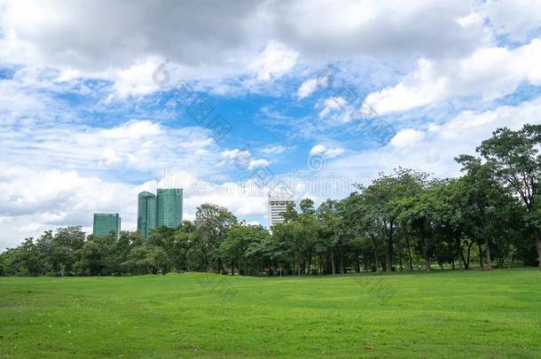 绿色的公园采用城市和多云的蓝色天