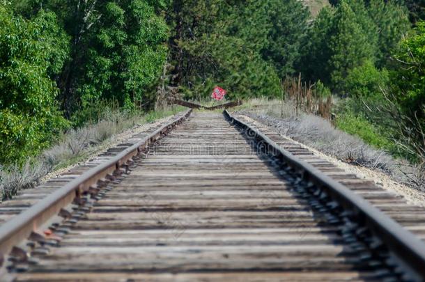 长的沉默的铁路小路延伸向和等候耐心地