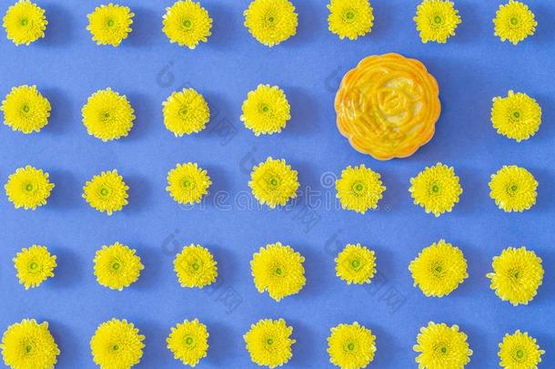 花模式.月饼,黄色的菊花花向蓝色英语字母表的第2个字母