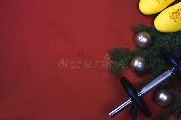 有关运动的圣诞<strong>节</strong>衣物和装备:红色的哑铃,黄色的<strong>旅游</strong>鞋和布兰切