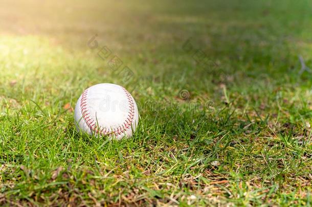 用过的棒球产卵数向绿色的草向棒球田.
