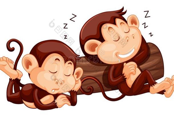 两个猴睡眠在指已提到的人记录