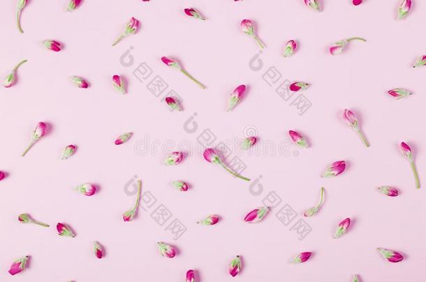 花的模式使关于春季花芽向彩色粉笔粉红色的后面