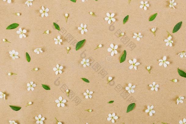 花的模式使关于白色的春季花,芽和绿色的人名