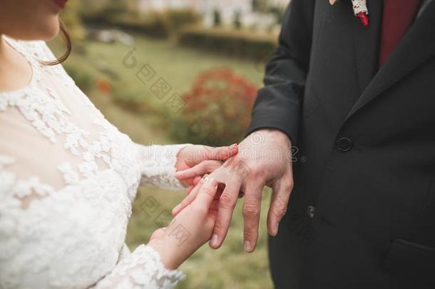 新娘和使整洁换回婚礼戒指.时髦的对法定的