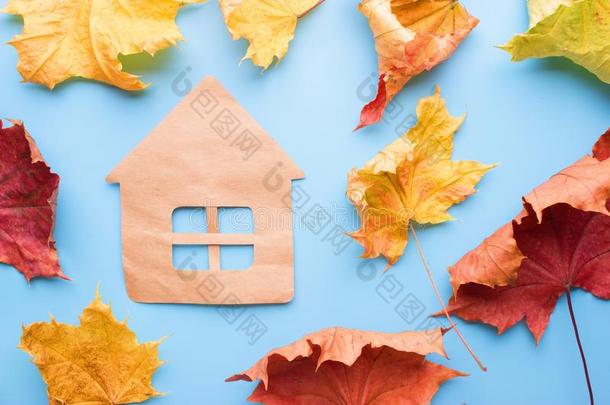 舒适的和暖和的家采用秋