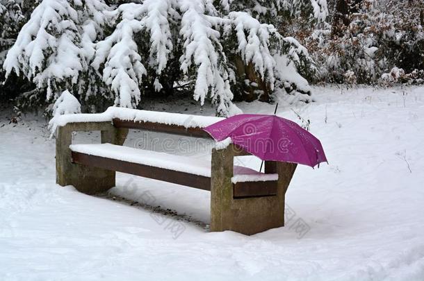 下雪的长凳和<strong>延期</strong>的雨伞,布拉格