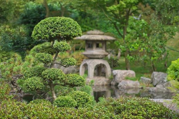 日本人禅花园和盆景和传统的石头灯笼