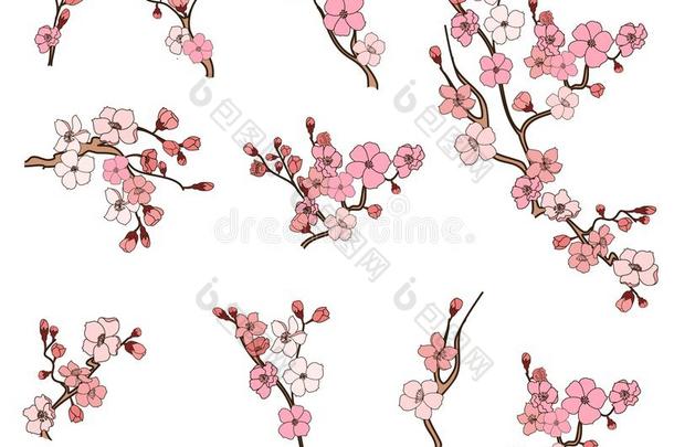 樱花花为印刷向纸.