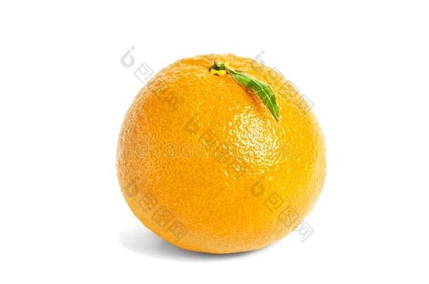 普通话,柑橘柑橘属果树成果隔离的