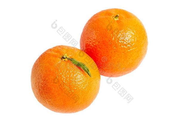 普通话,柑橘柑橘属果树成果隔离的