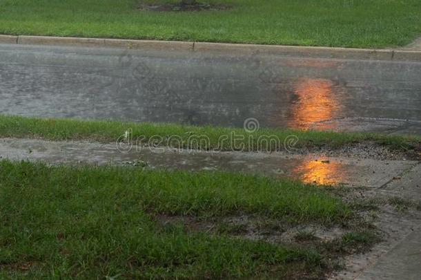 重的雨向沥青.夏雷电交加的暴风雨和困难的雨法林