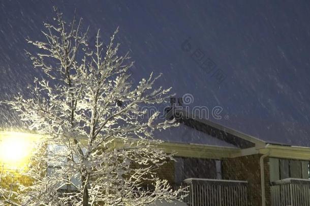 雪降低在夜采用指已提到的人大街和灯笼,指已提到的人灯笼上杉达也