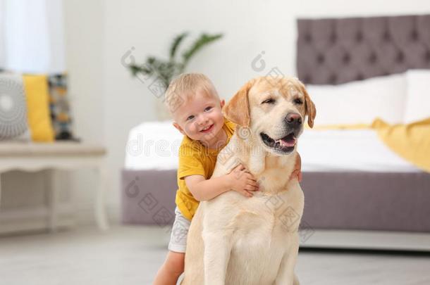 值得崇拜的黄色的label-dressroutine日常事分类寻猎物犬和小的男孩
