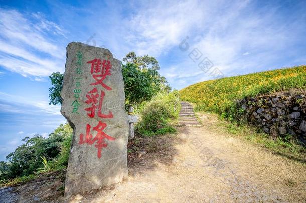 指已提到的人黄花菜山坡陆标