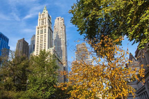 新的使击球员出局城市曼哈顿采用秋和摩天大楼和富有色彩的