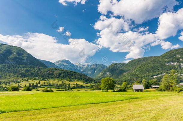 牧草地草地采用斯洛文尼亚.绿色的草,牧草地房屋和朱莉娅