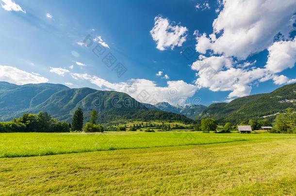 牧草地草地采用斯洛文尼亚.绿色的草,牧草地房屋和朱莉娅