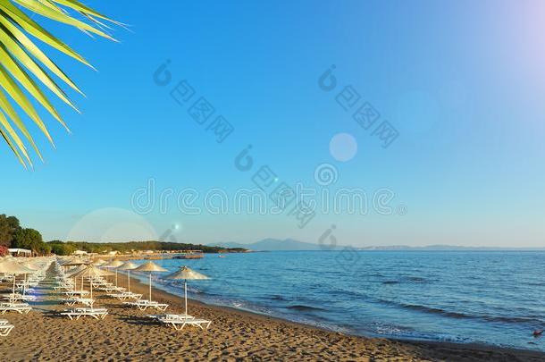 火鸡爱琴海(地中海的一部分海海岸.太阳灯浴浴床和伞向指已提到的人海滩