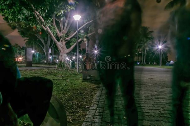 鬼似的特异景象向树树枝在帕西尔放射免疫吸附剂公园新加坡