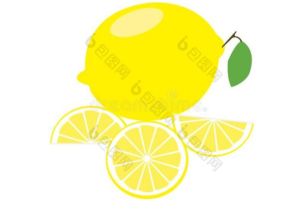 柠檬矢量绘画